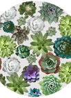 Succulant
