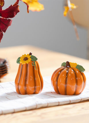 Harvest Blossom Salt & Pepper Shaker Ceramic Pumpkin Shaped, Set of 2
