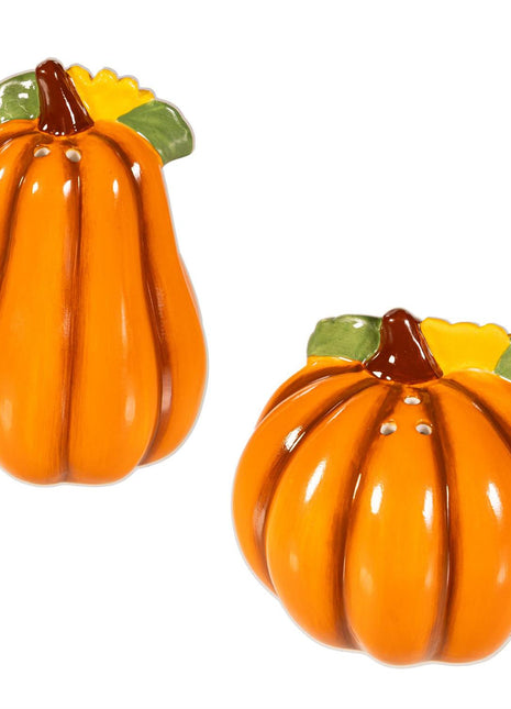 Harvest Blossom Salt & Pepper Shaker Ceramic Pumpkin Shaped, Set of 2