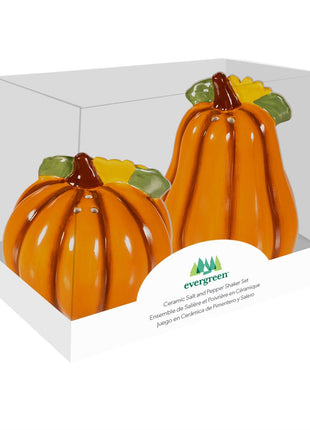 Harvest Blossom Salt & Pepper Shaker Ceramic Pumpkin Shaped, Set of 2