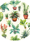 All Over Plants