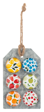 Fruit Magnet (6 pc. set)
