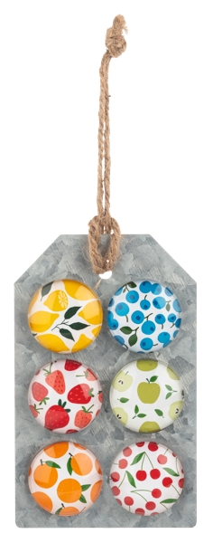 Fruit Magnet (6 pc. set)