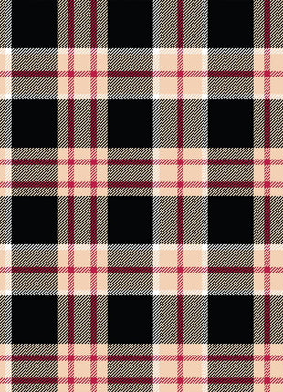 Man Plaid Chef Apron