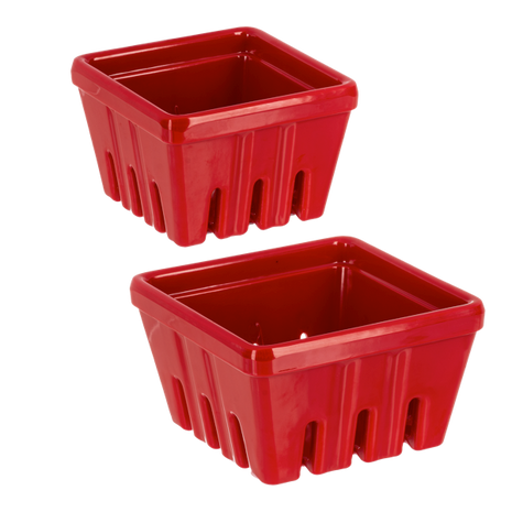 Nested Red Berry Containers (2 pc. set)