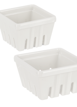 Nested White Berry Containers (2 pc. set)