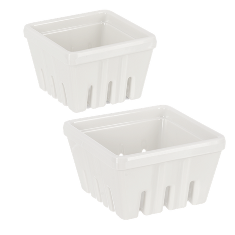 Nested White Berry Containers (2 pc. set)