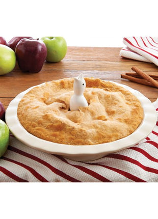 White Pie Bird