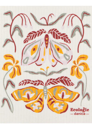 Swedish Dishcloth Plants Nocturna
