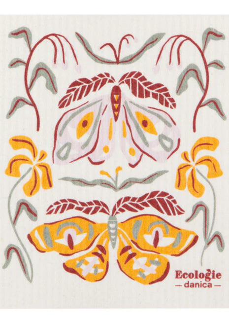 Swedish Dishcloth Plants Nocturna