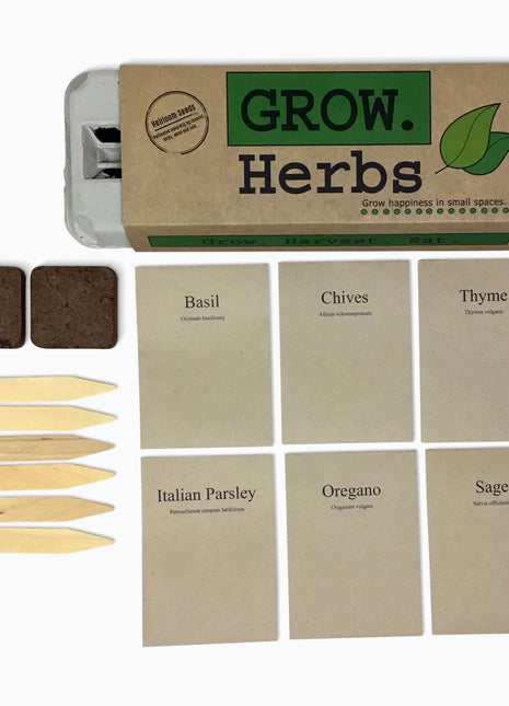 Herb Garden Seed Grow Kit