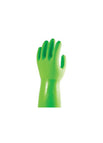 Green / MD