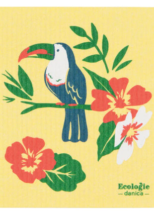 Swedish Dishcloth Plants Tropical Trove