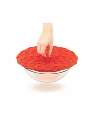 Round Silicone Lid
