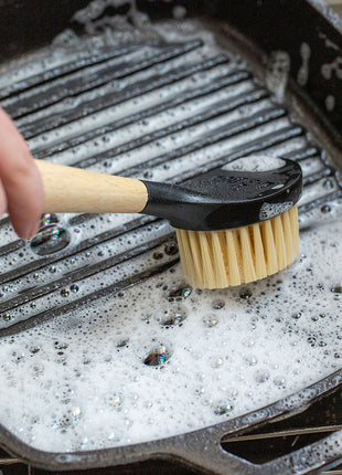 Scrub Brush 10in