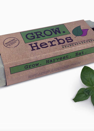 Herb Garden Seed Grow Kit