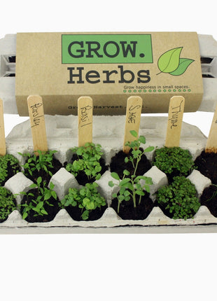 Herb Garden Seed Grow Kit