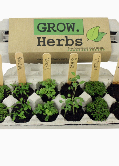 Herb Garden Seed Grow Kit