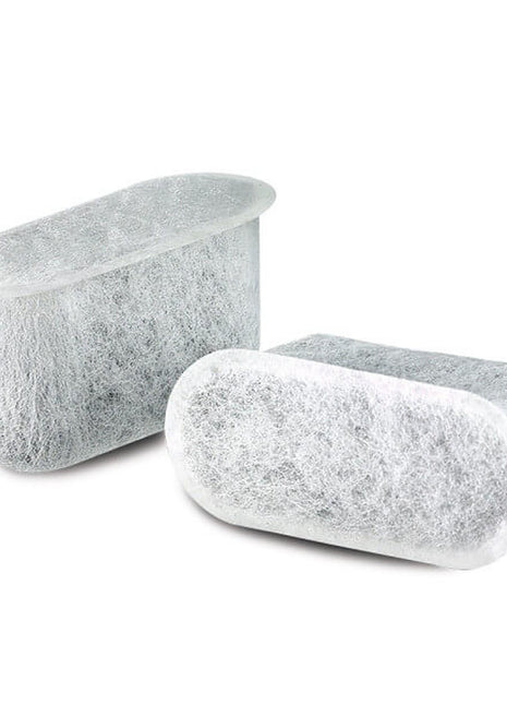 Replacement Charcoal Water Filters Set Of 2